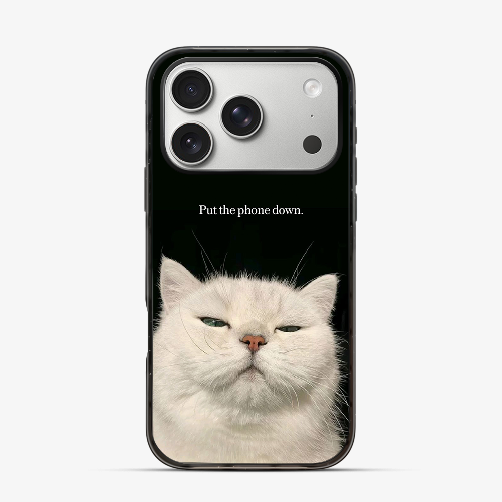 Put The Down iPhone 17 Pro Max Case