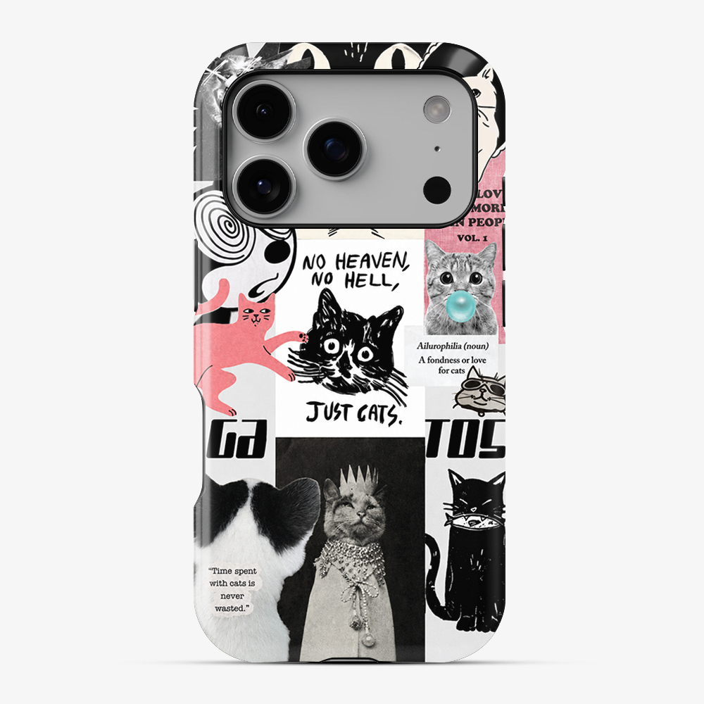 Catspiracy Theory Phone Case