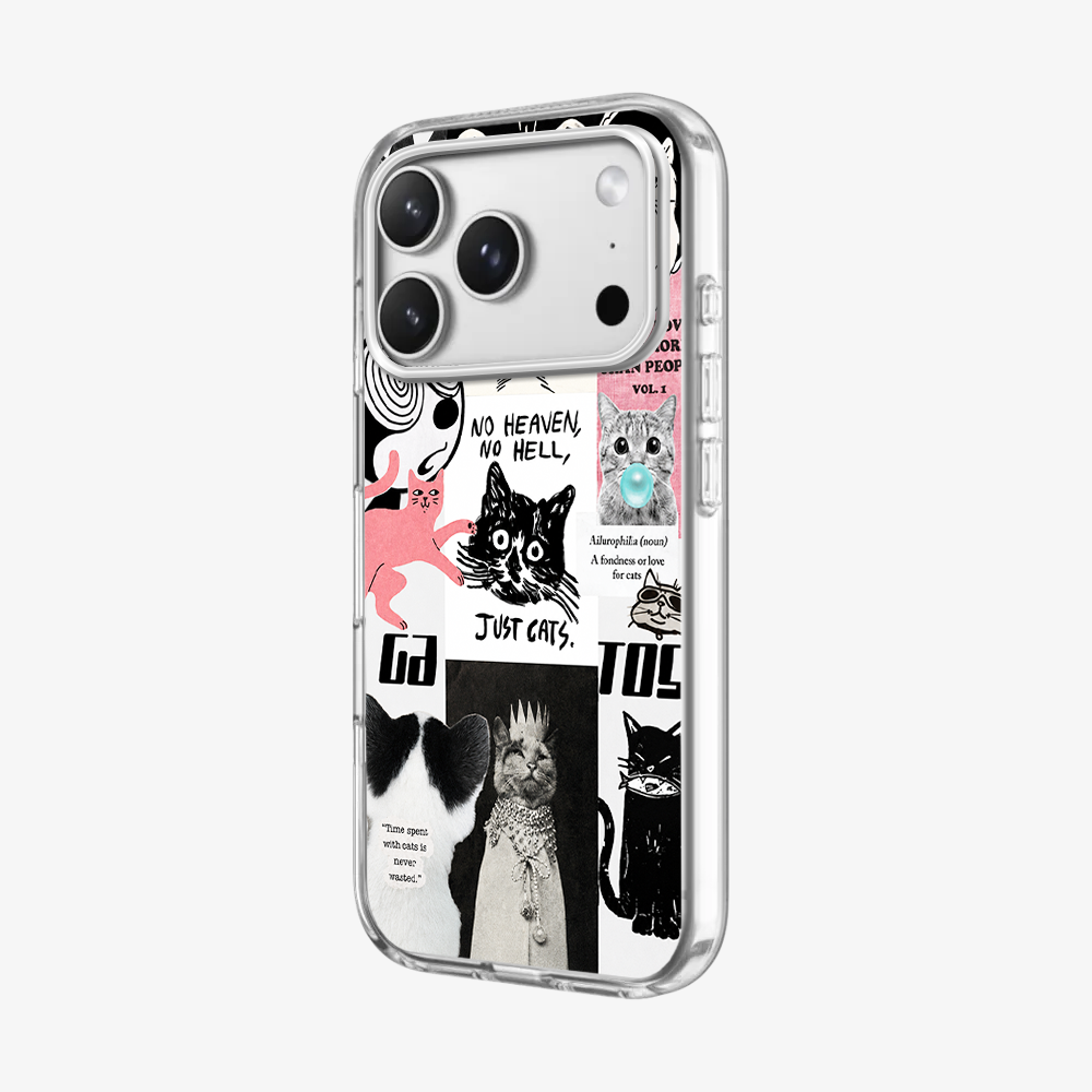Catspiracy Theory Phone Case