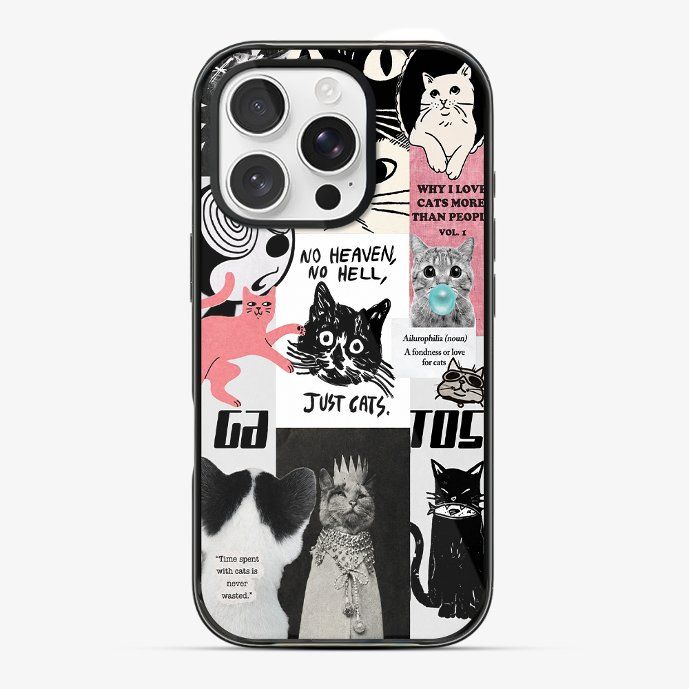 Catspiracy Theory Phone Case