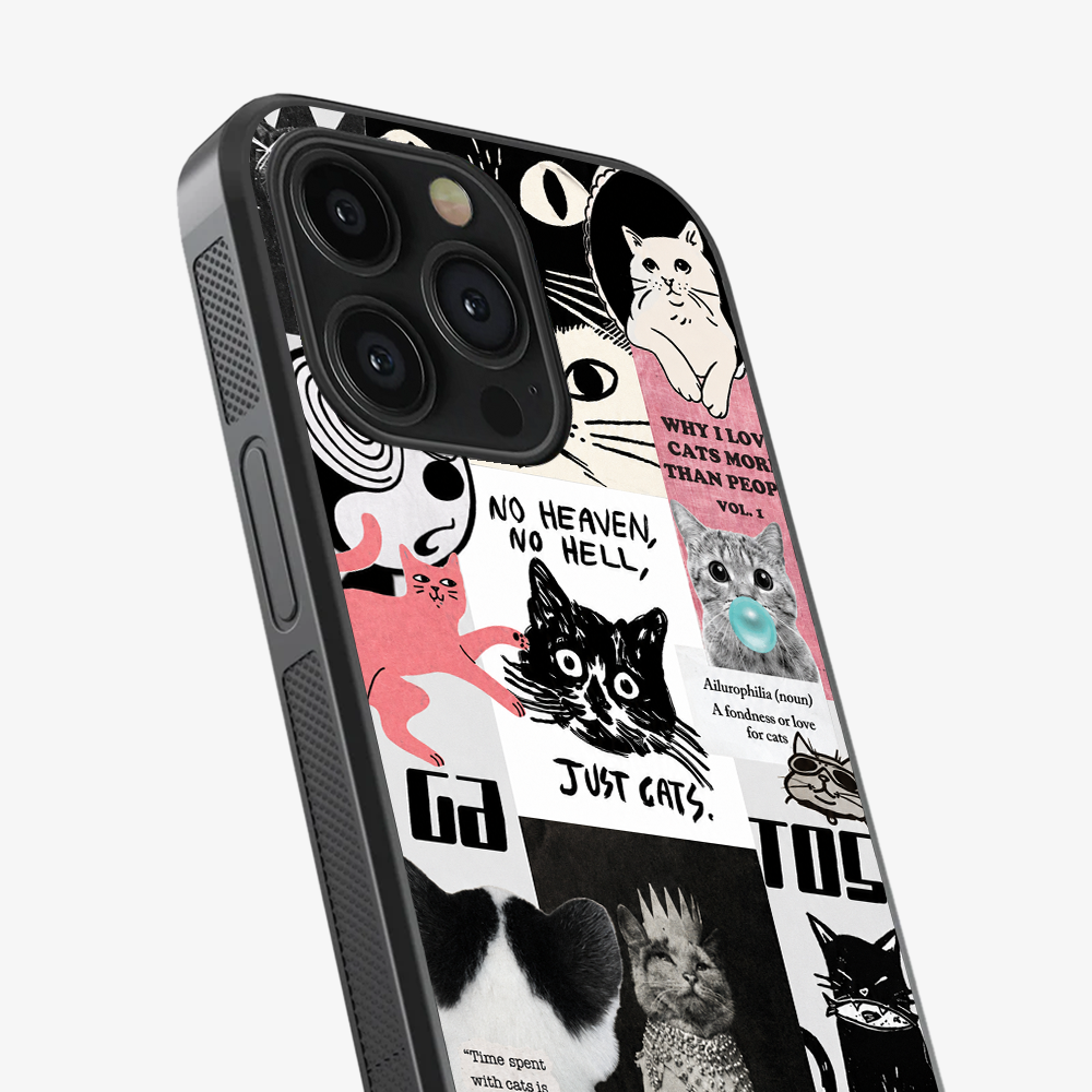 Catspiracy Theory Phone Case