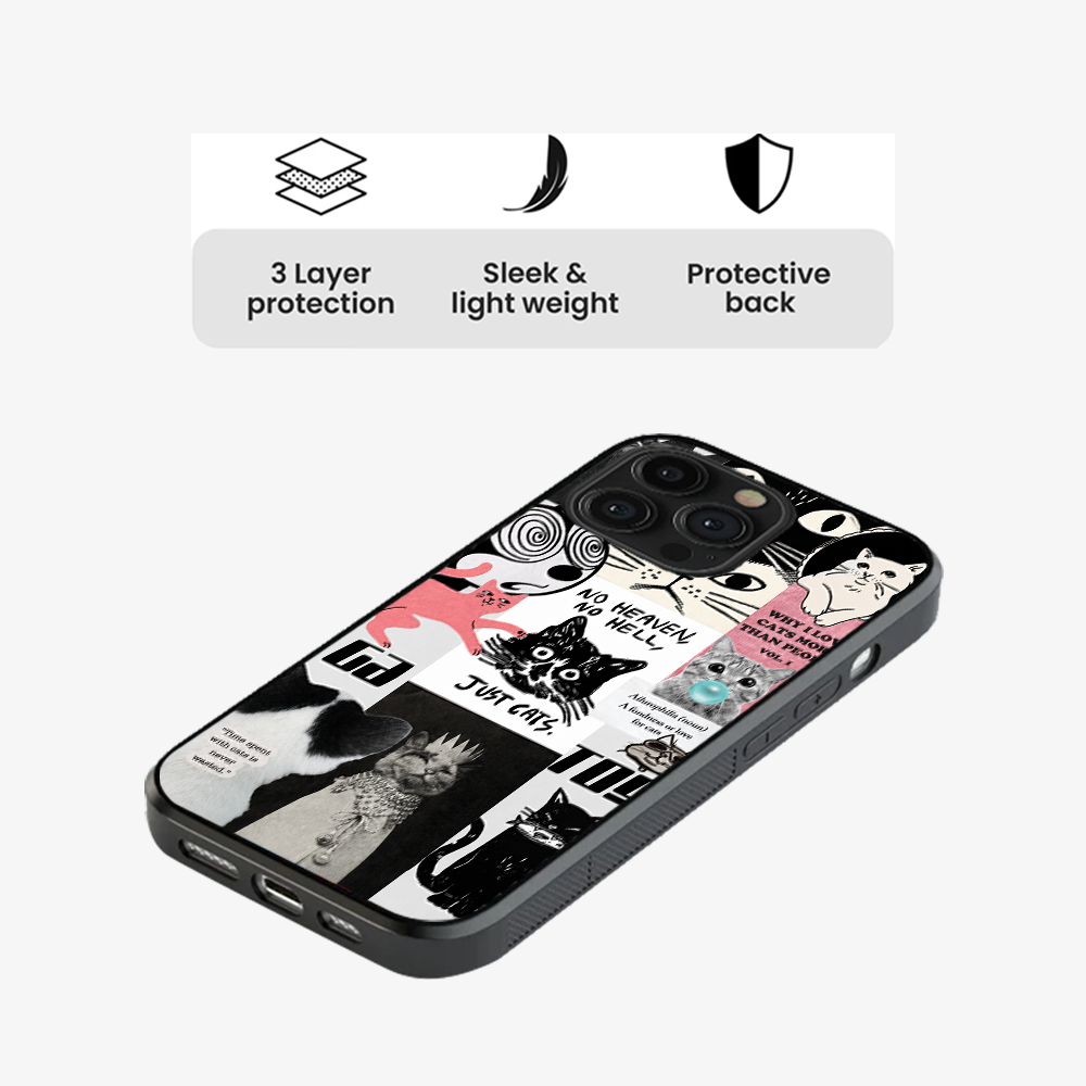 Catspiracy Theory Phone Case