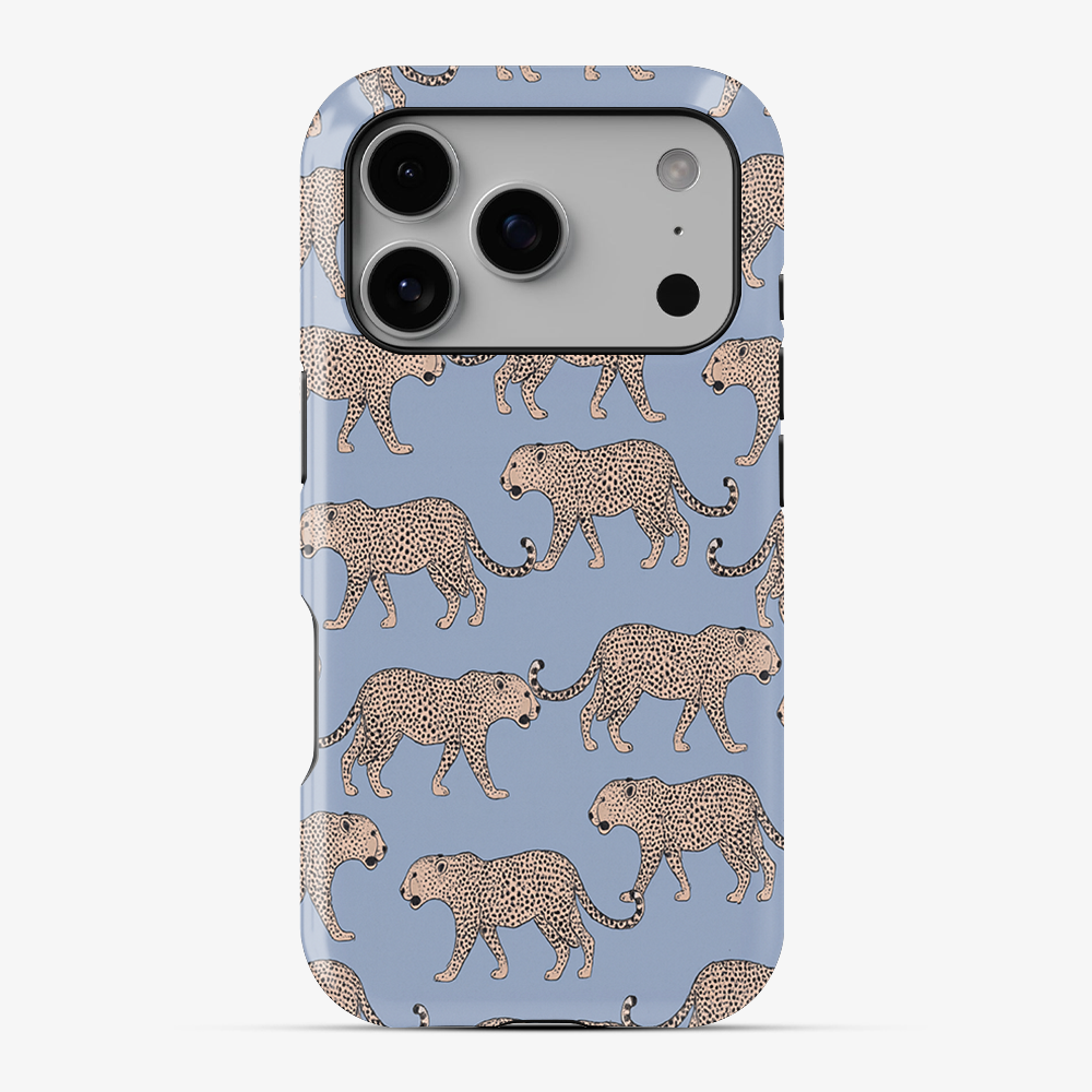 Tourist Trap Phone Case