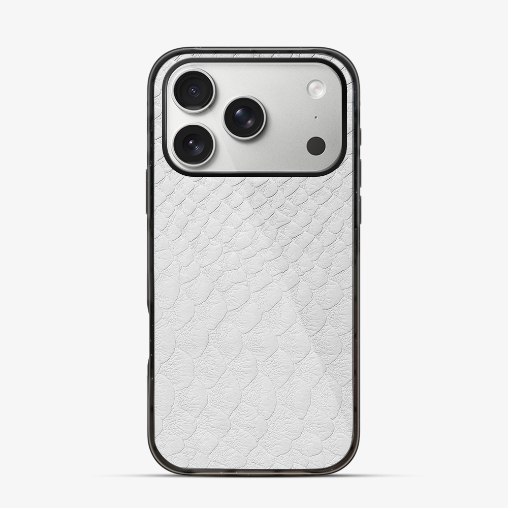 Glacial Desert iPhone 17 Pro Max Case