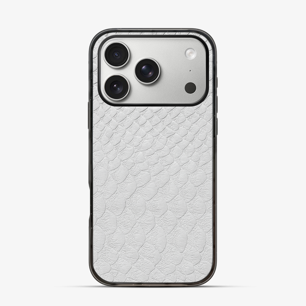 Glacial Desert iPhone 17 Pro Case