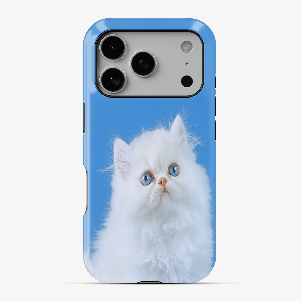 Nine Lives Phone Case