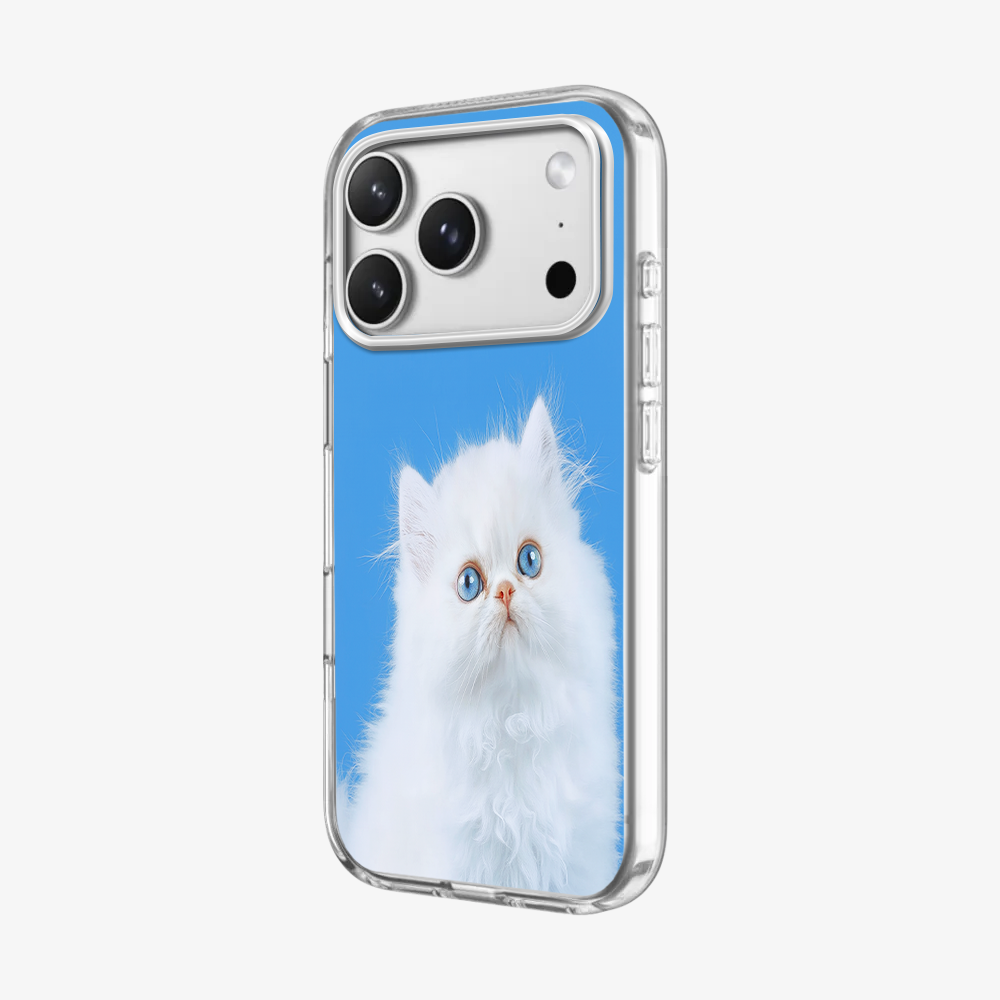 Nine Lives Phone Case