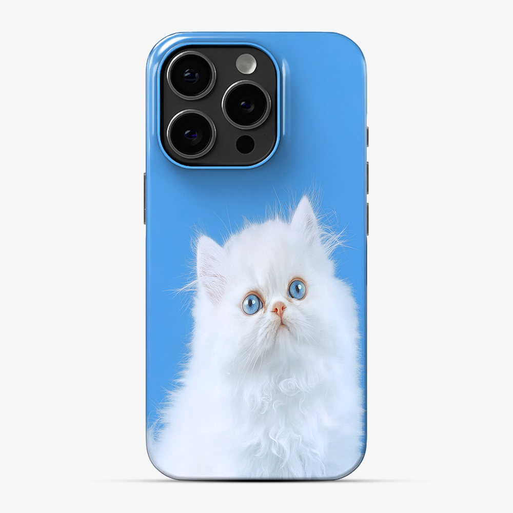 Nine Lives Phone Case