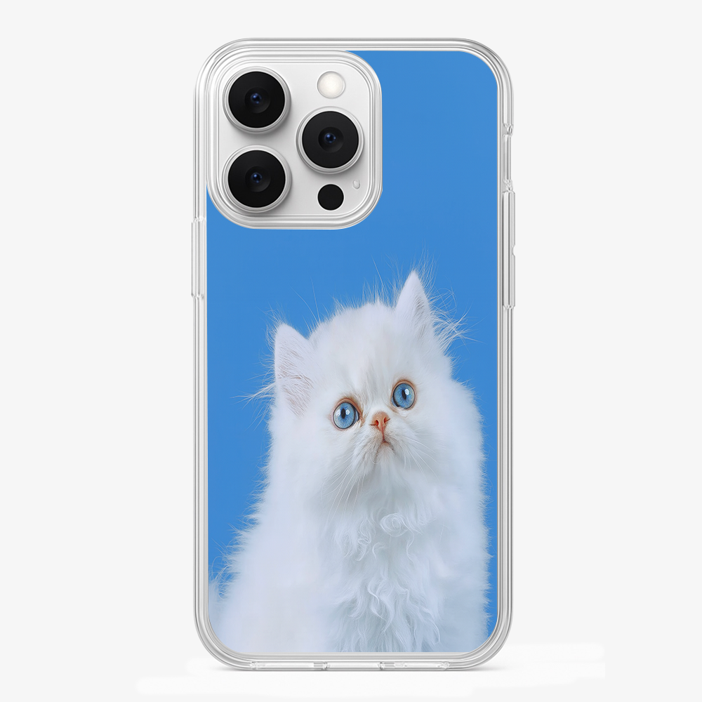 Nine Lives Phone Case Glass Case