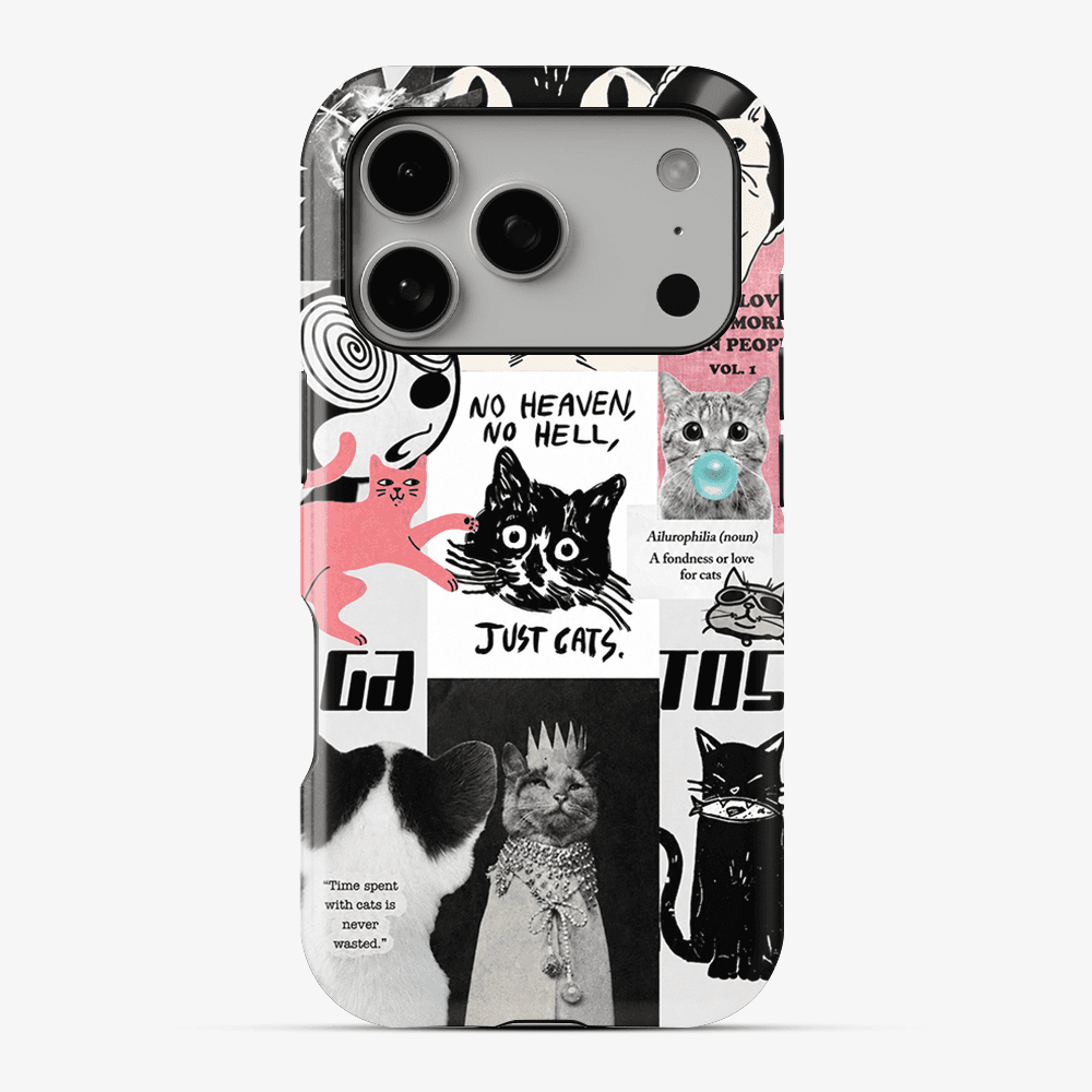 Catspiracy Theory Phone Case
