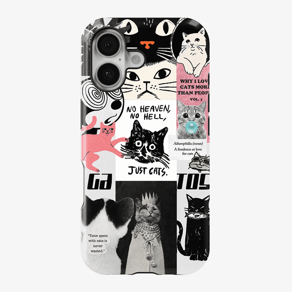 Catspiracy Theory Phone Case