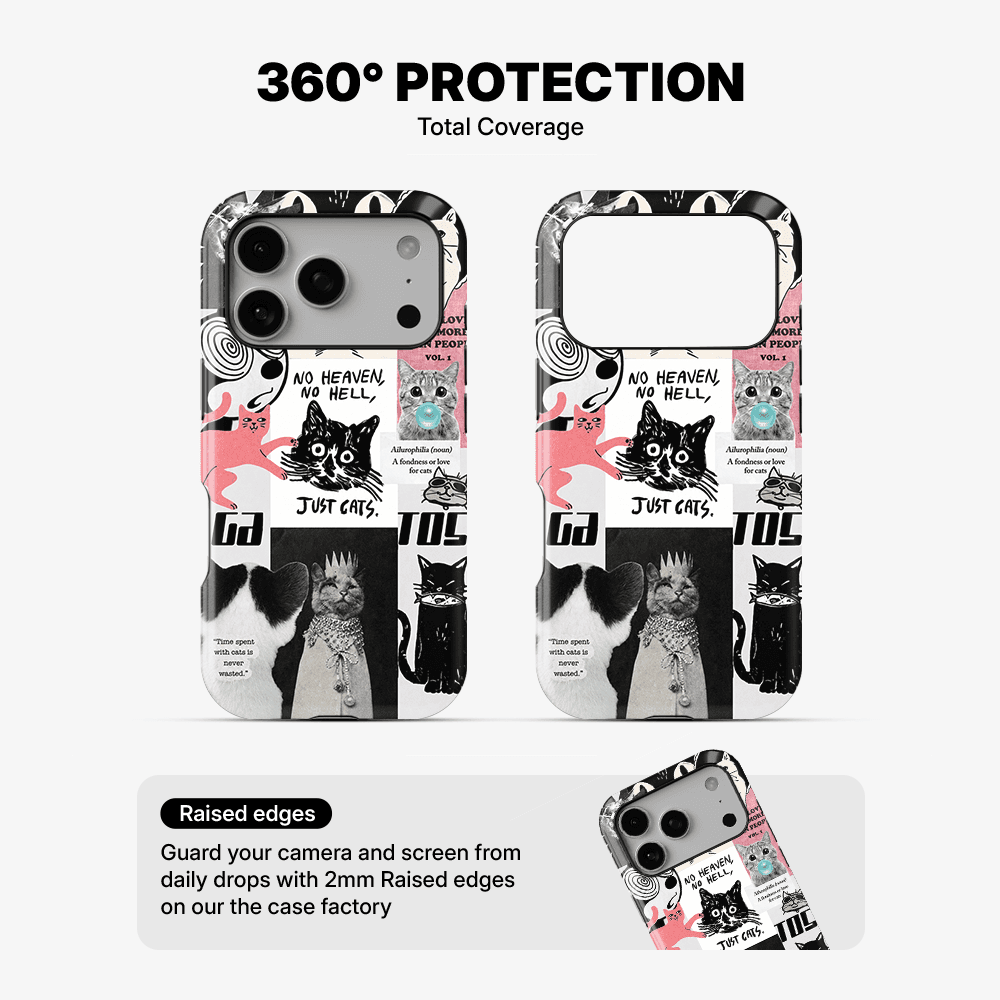 Catspiracy Theory Phone Case