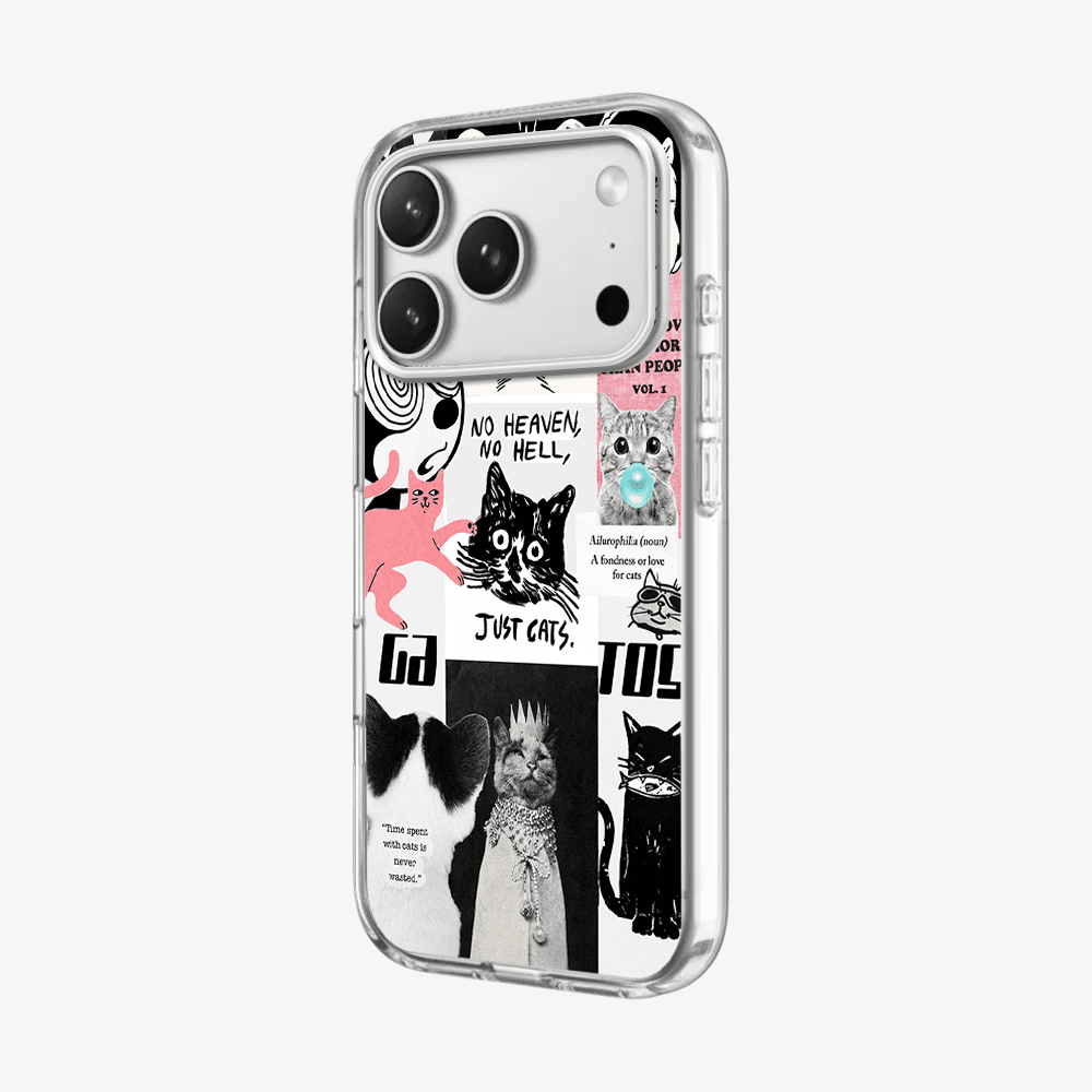 Catspiracy Theory Phone Case