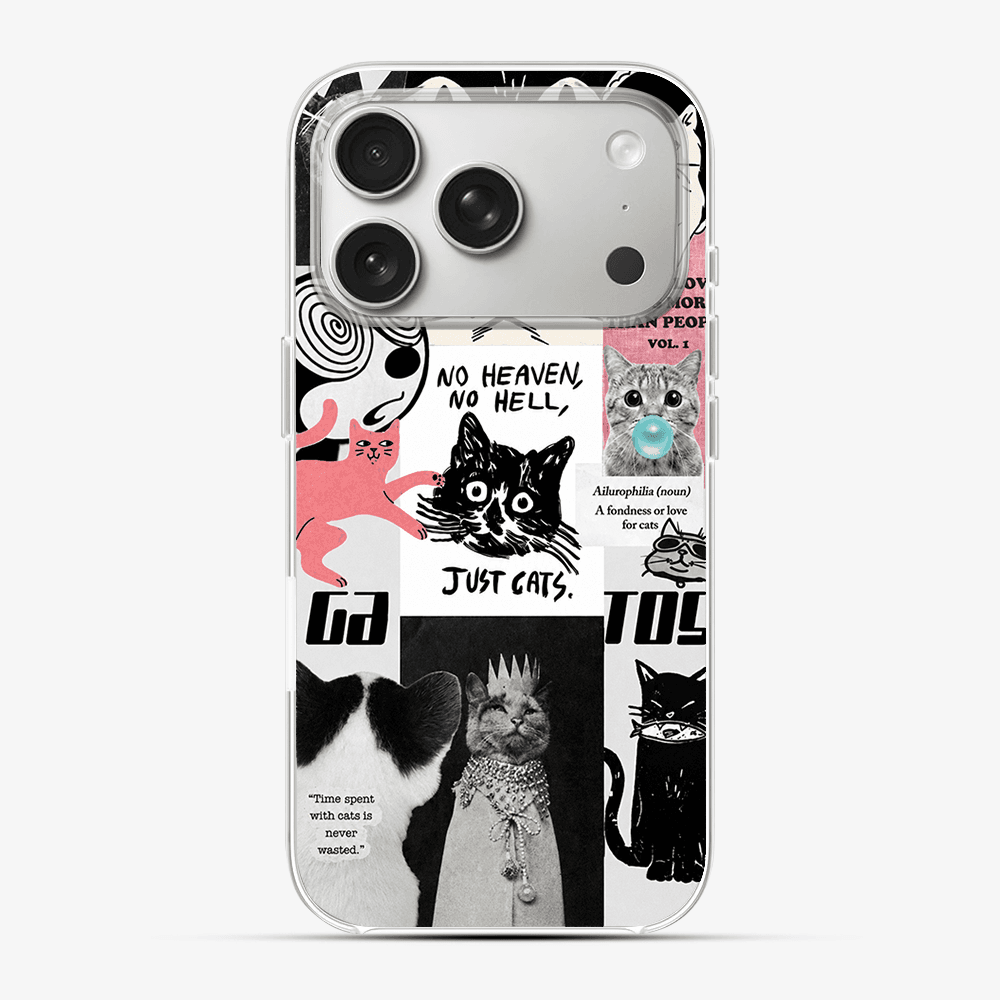 Catspiracy Theory Phone Case