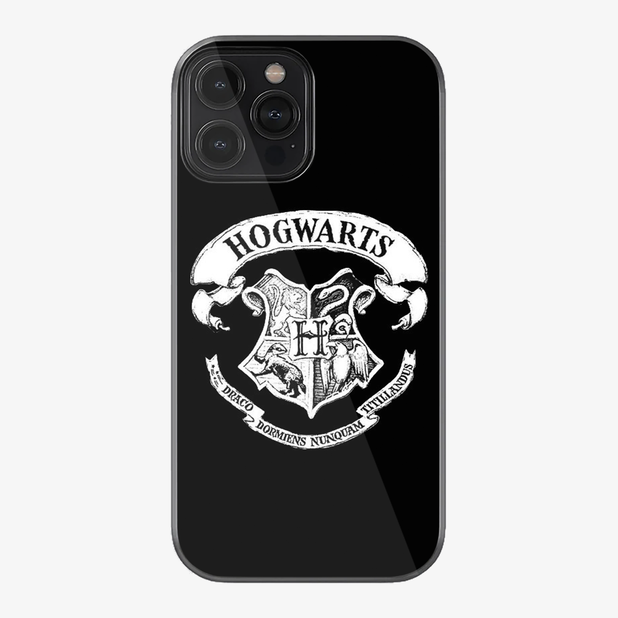 Hogwarts Case