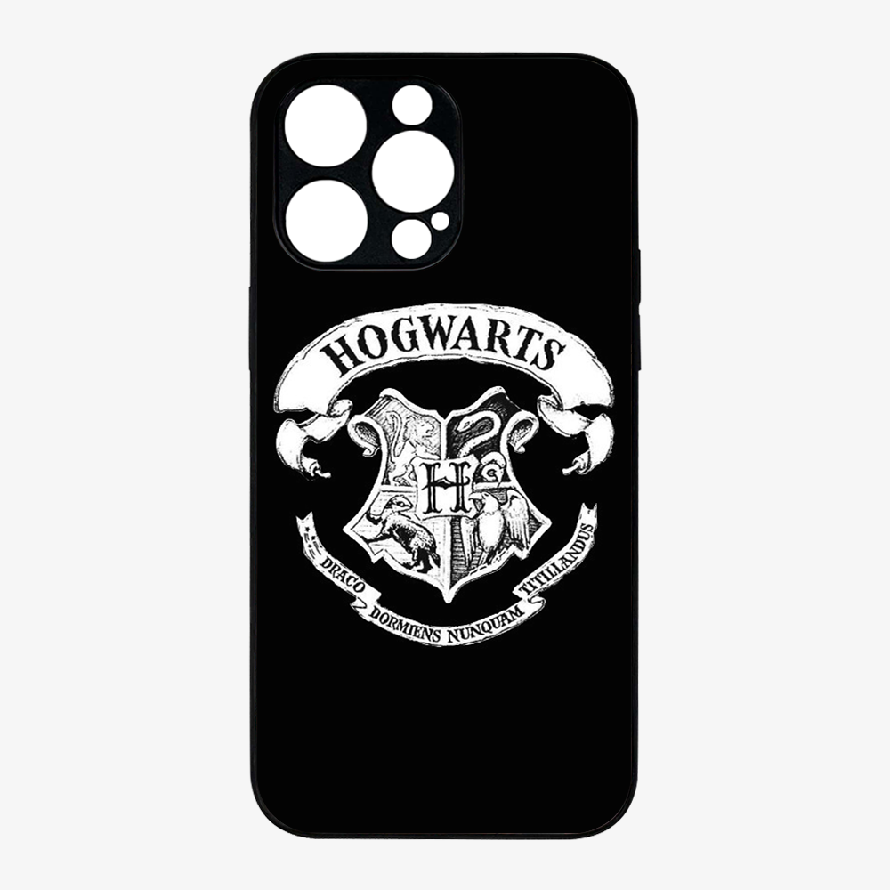 Hogwarts Case