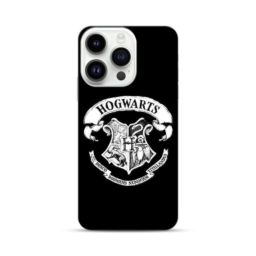 Hogwarts Case