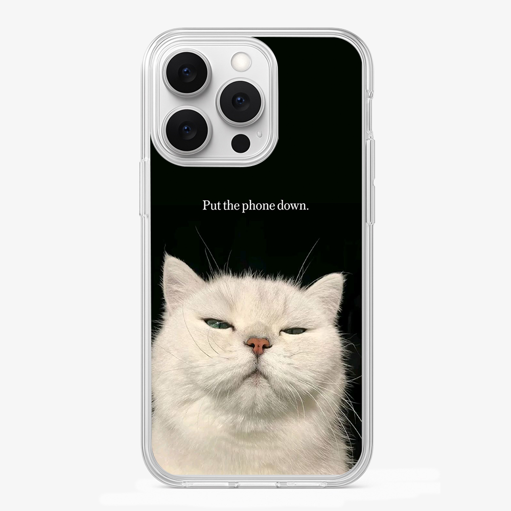 Put The Phone Down Case