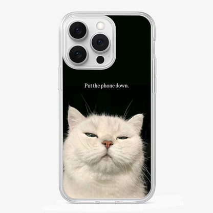 Put The Phone Down Case