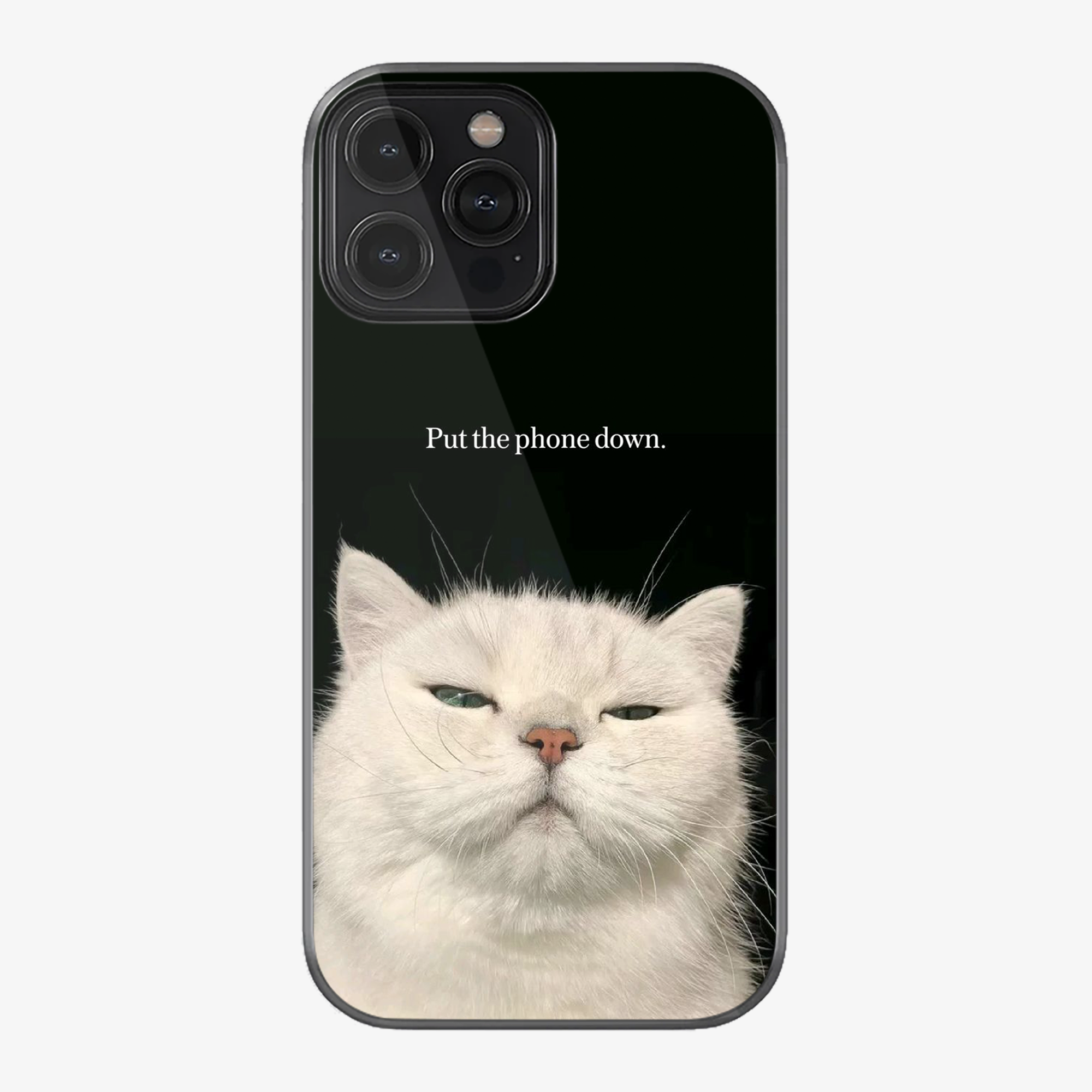 Put The Phone Down Case