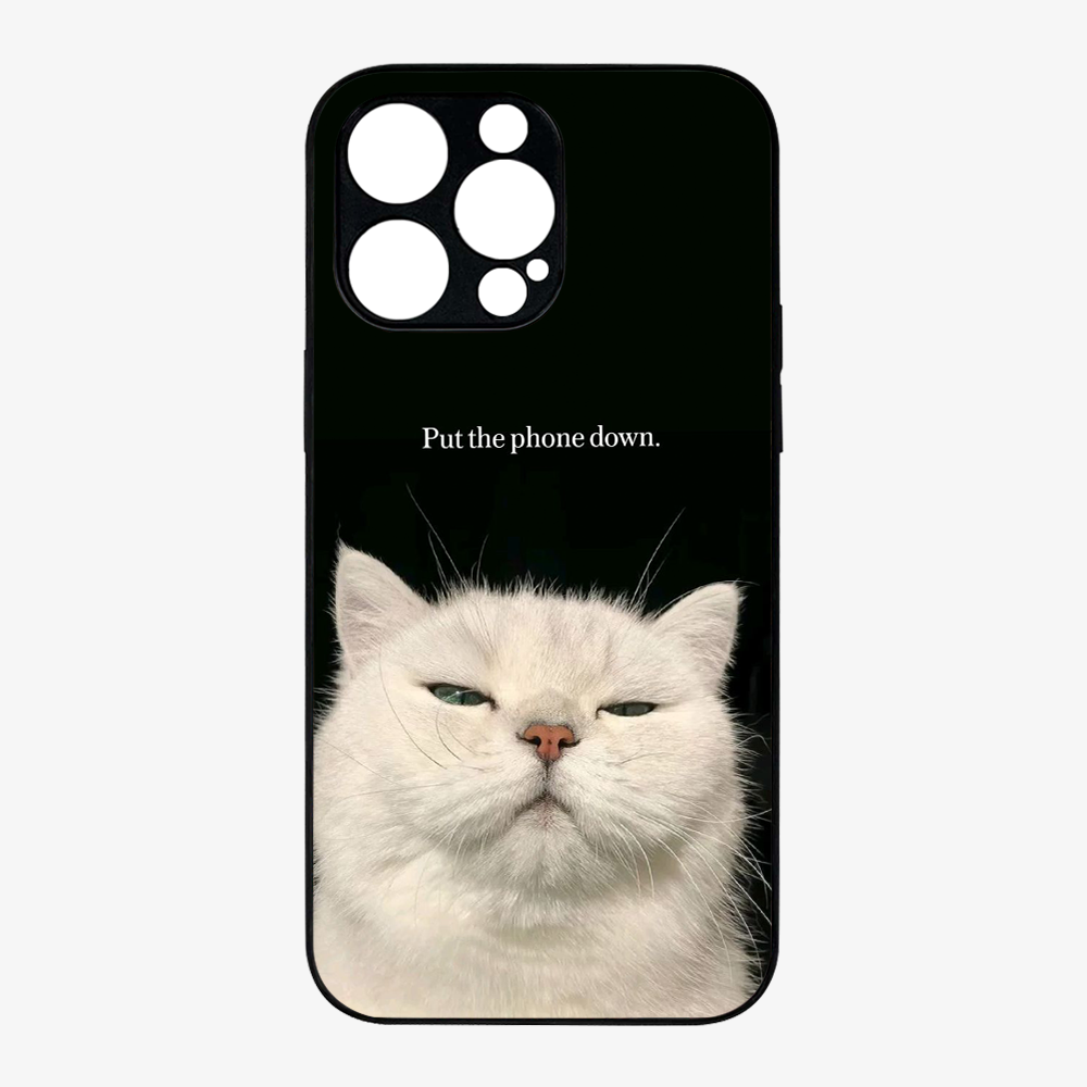 Put The Phone Down Case