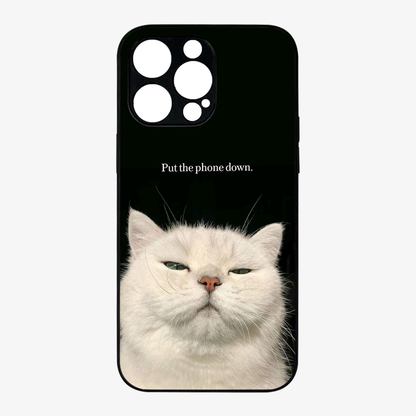 Put The Phone Down Case
