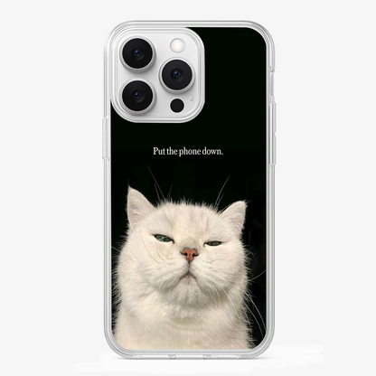 Put The Phone Down Case Glass Case