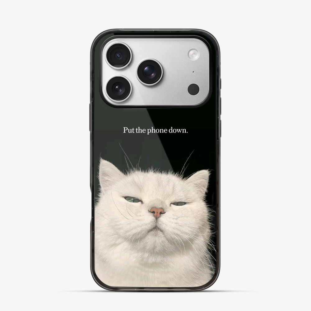 Put The Down iPhone 17 Pro Max Case