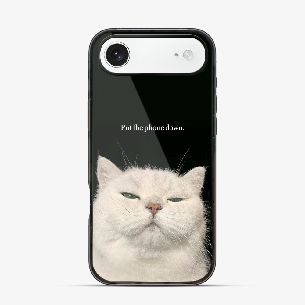 Put The Down iPhone Air Case