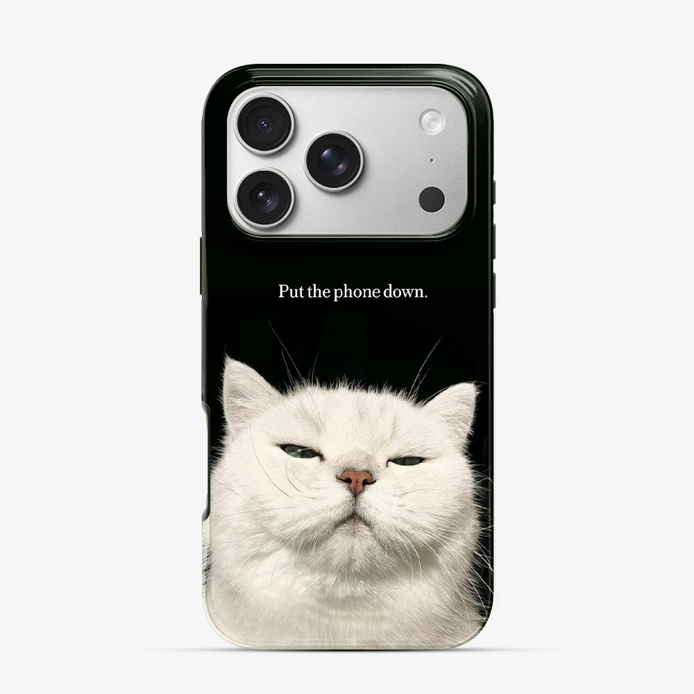 Put The Down iPhone 17 Pro Max Case