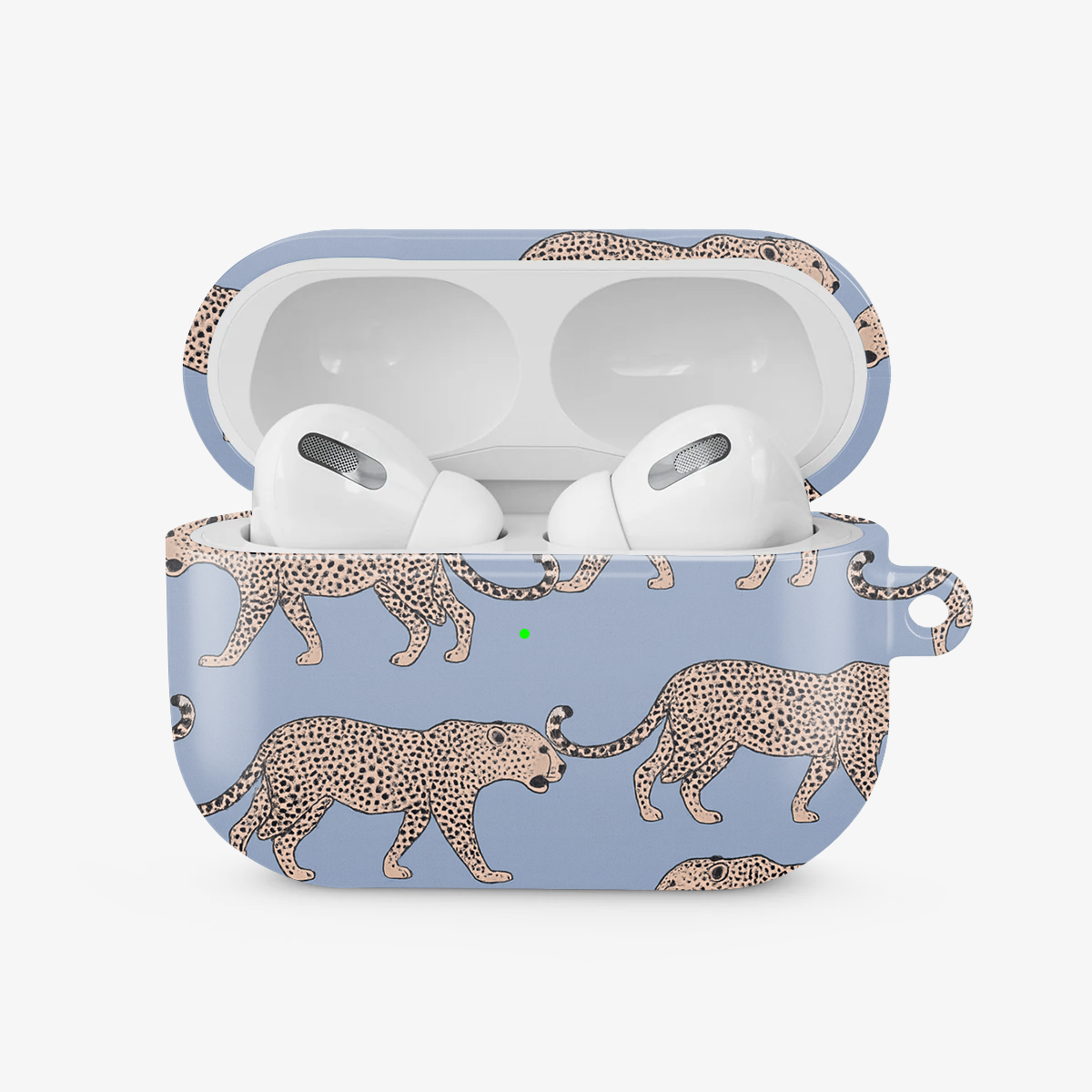 Tourist Trap Airpods Case