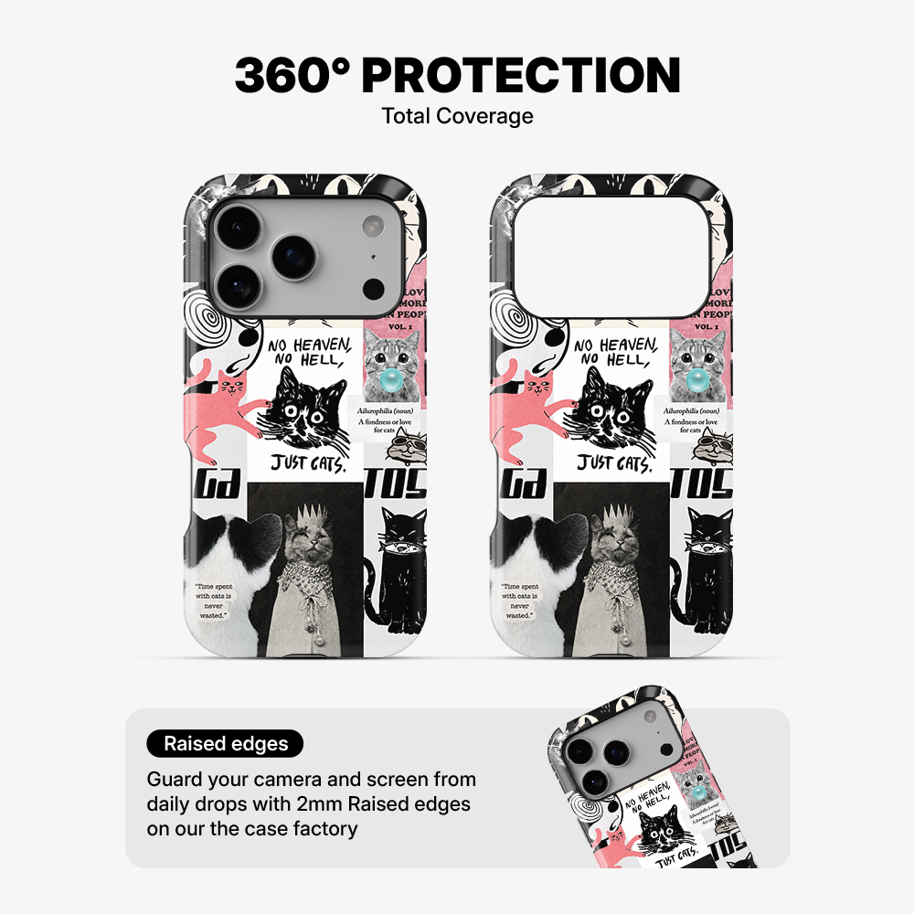 Catspiracy Theory Phone Case