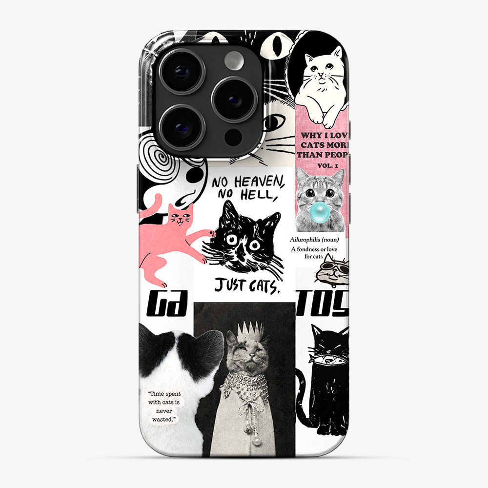 Catspiracy Theory Phone Case