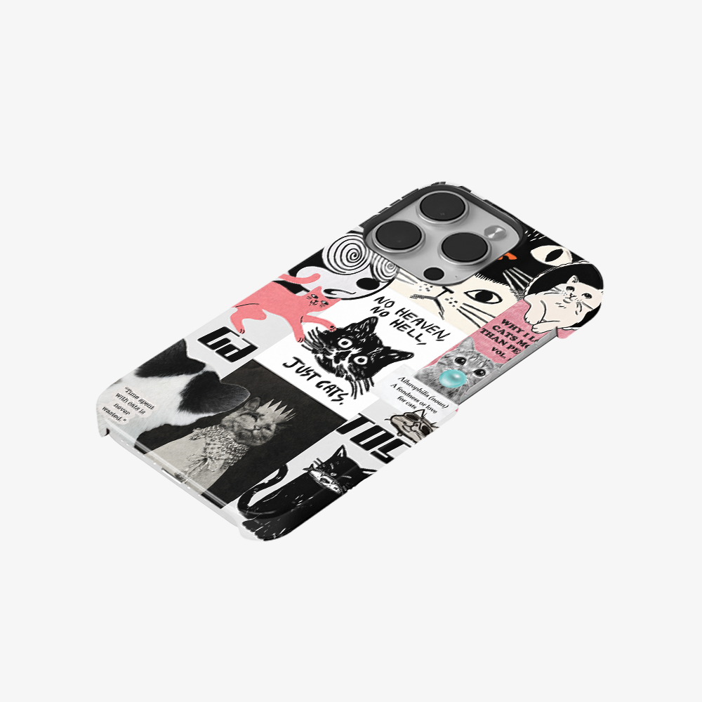 Catspiracy Theory Phone Case