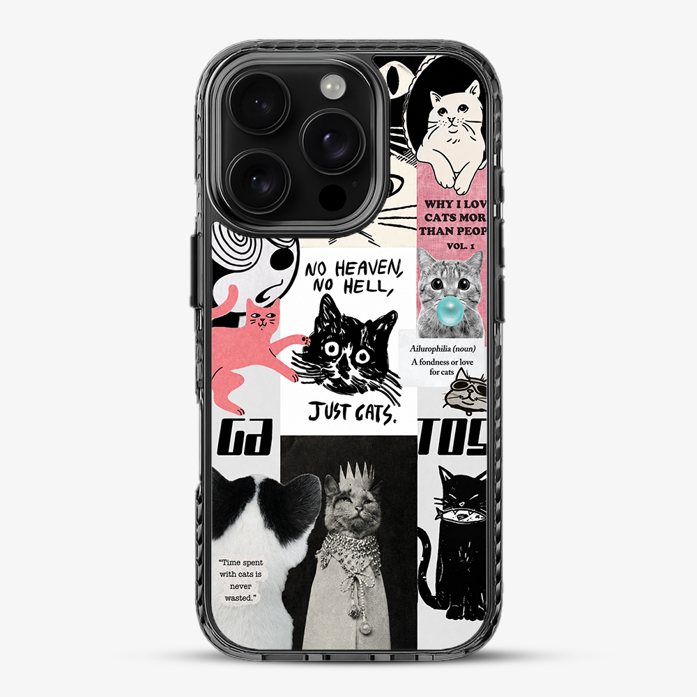 Catspiracy Theory Phone Case