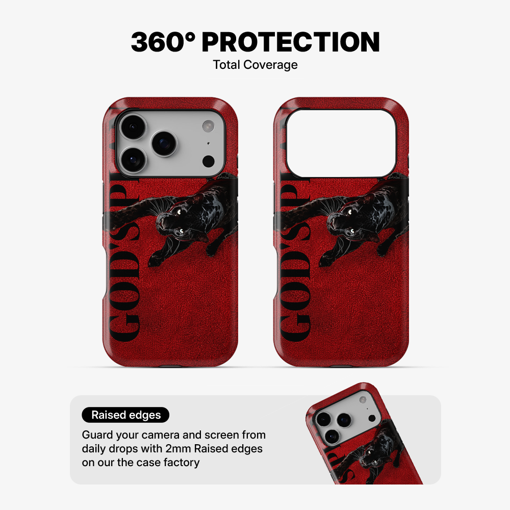God's Plan Cat Phone Case