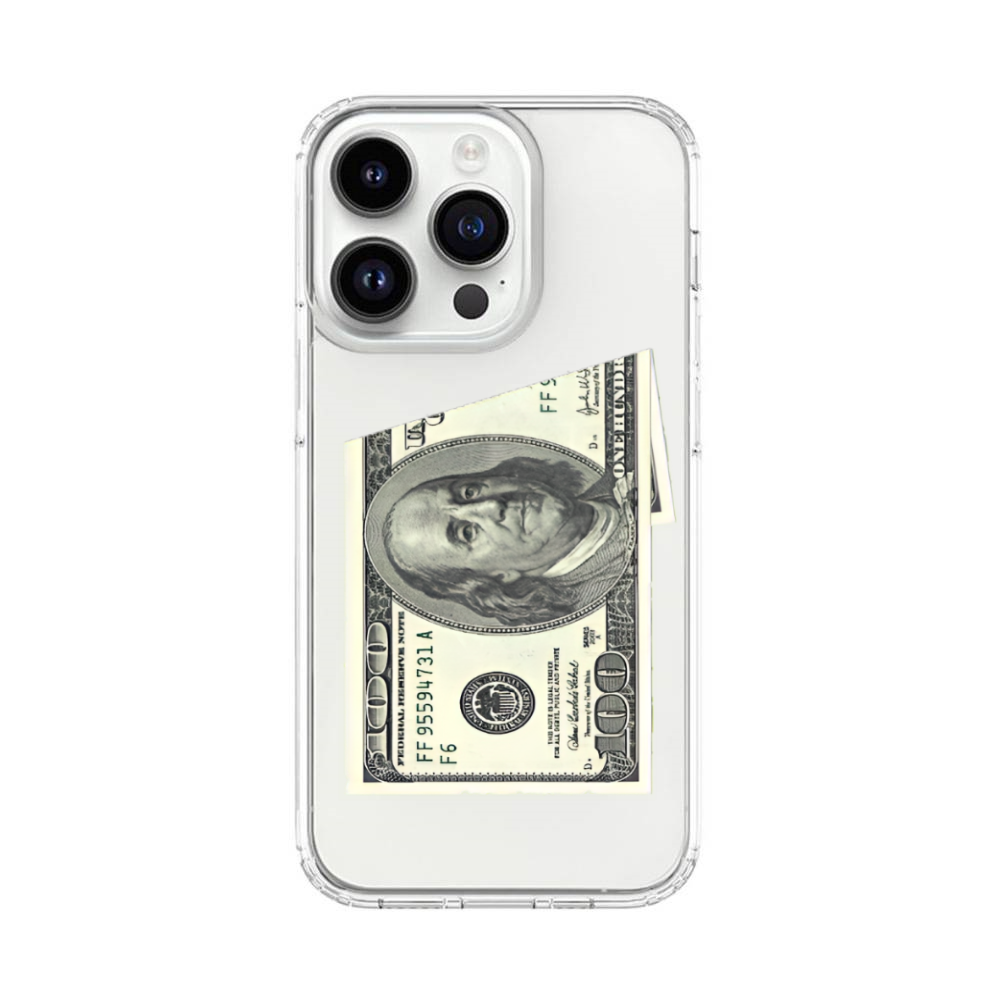 Dollar Case