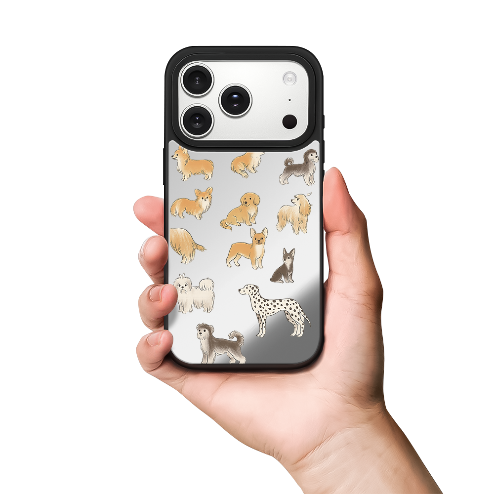Playground Mirror Phone Case
