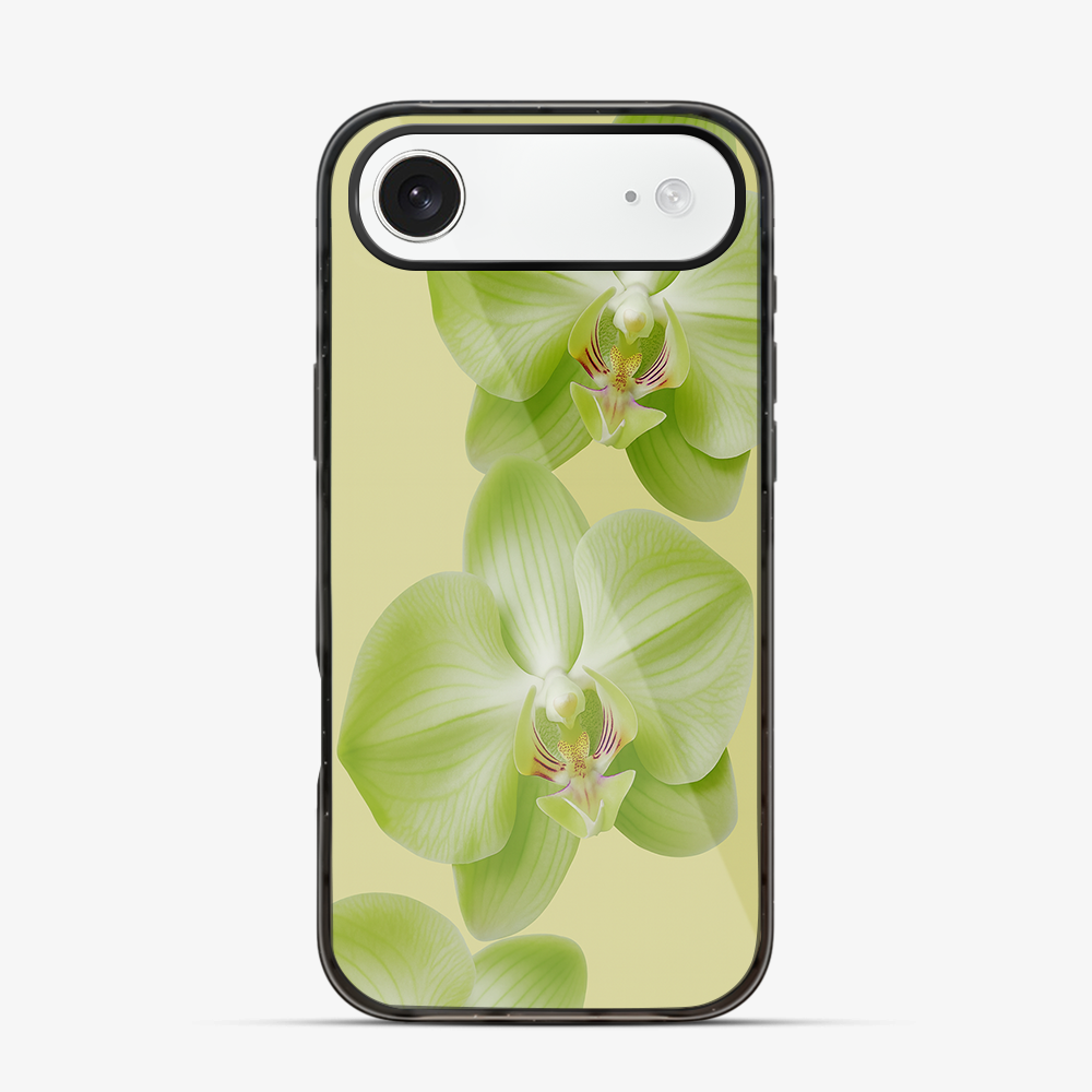 Purity iPhone Air Case