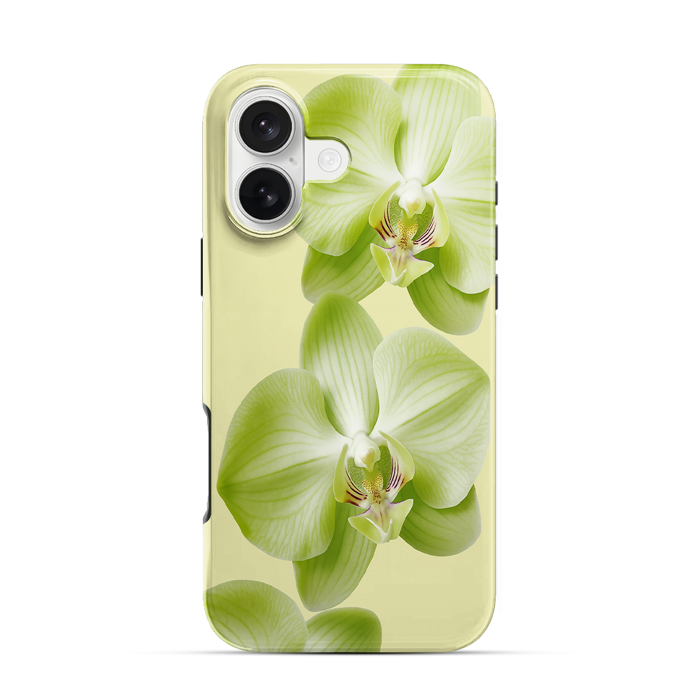 Purity iPhone 17 Case