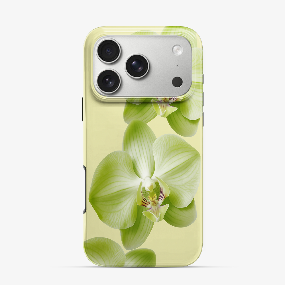Purity iPhone 17 Pro Max Case