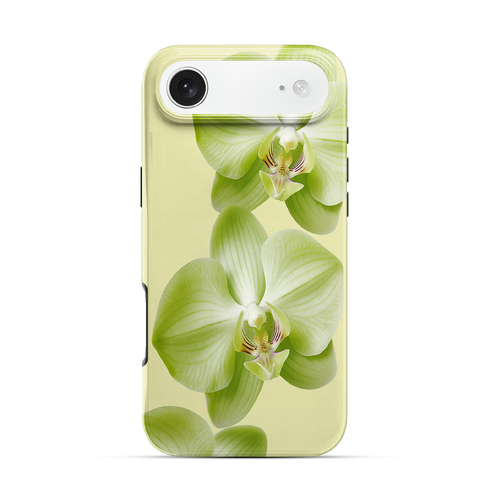 Purity iPhone Air Case