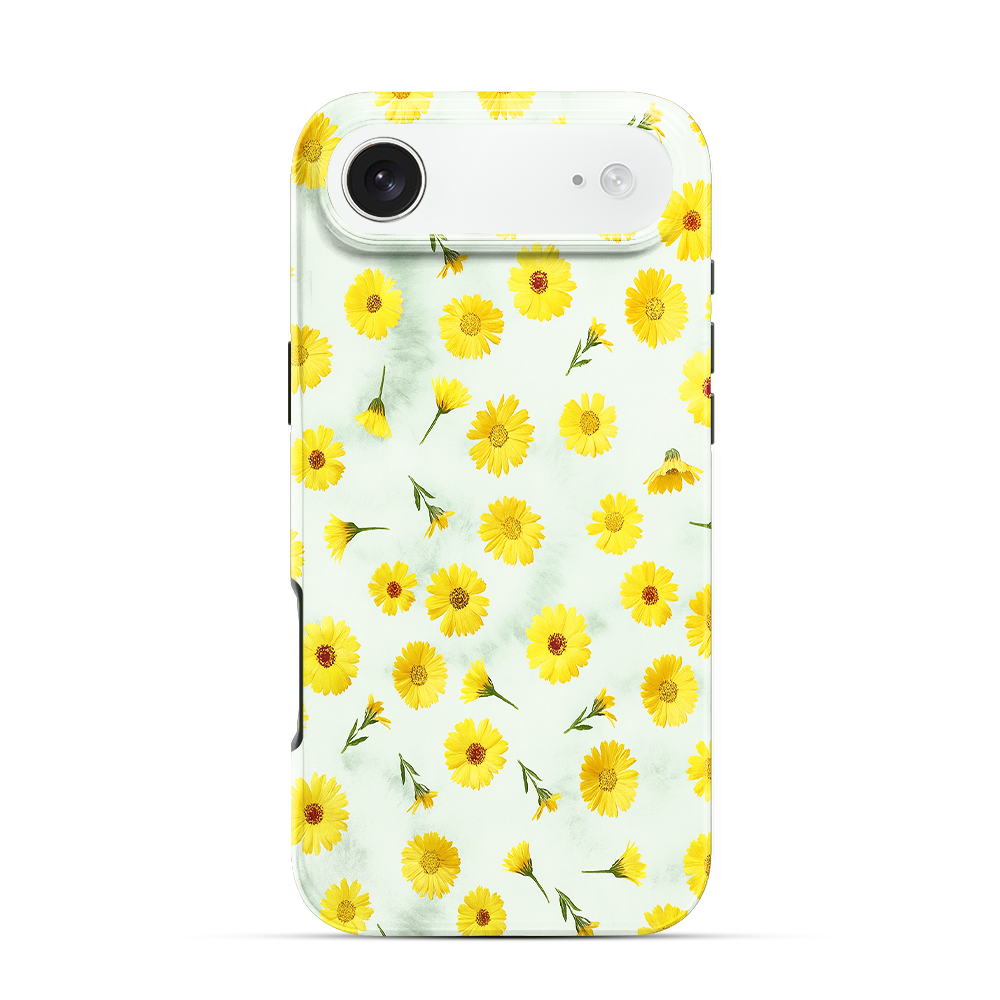 Sanctuary Of Love iPhone Air Case