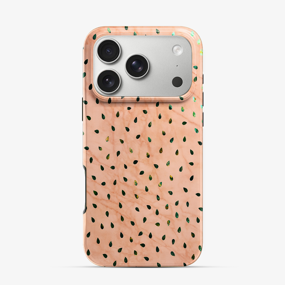Watermelon Shake iPhone 17 Pro Max Case