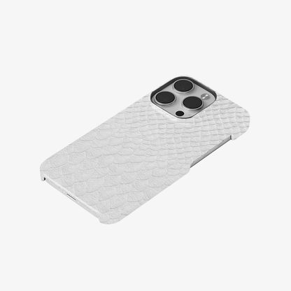 Glacial Desert Phone Case