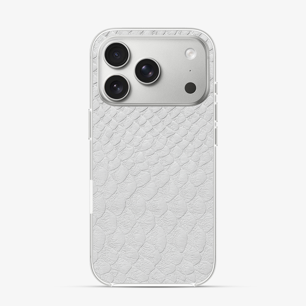 Glacial Desert iPhone 17 Pro Case