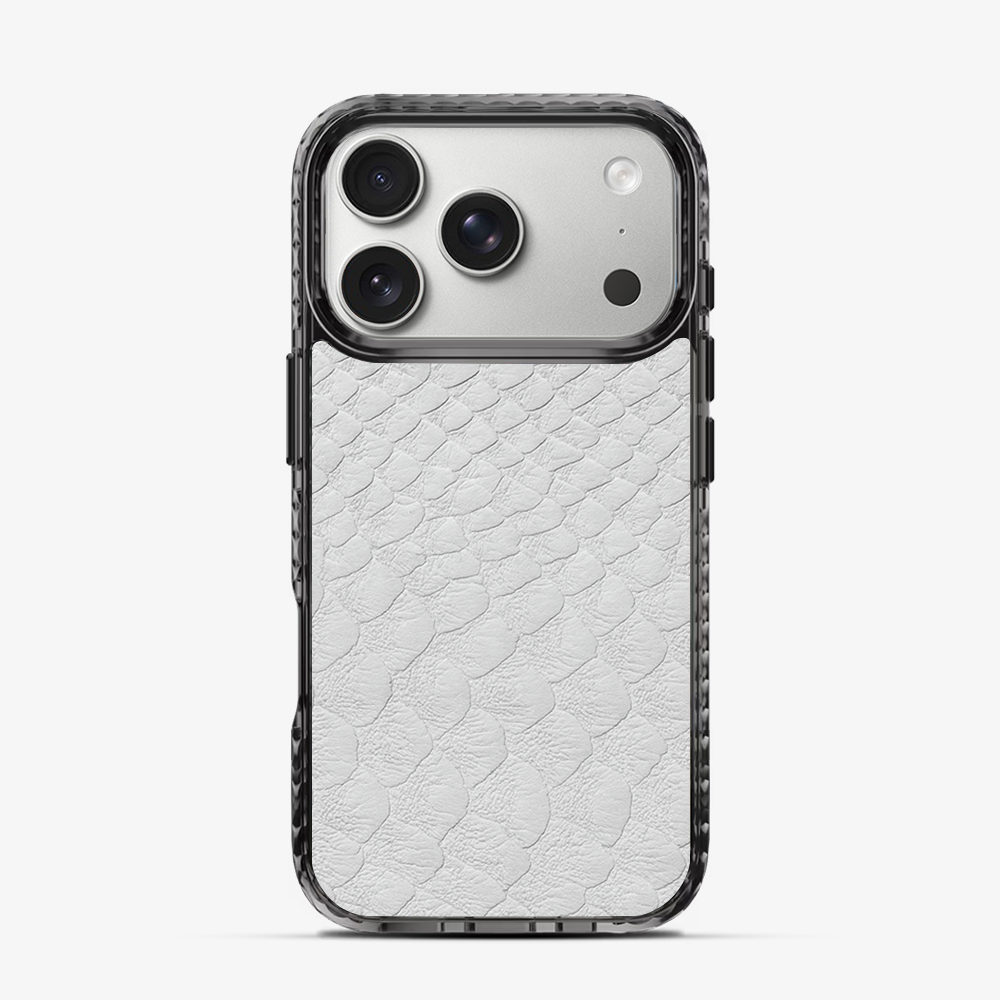 Glacial Desert iPhone 17 Pro Max Case