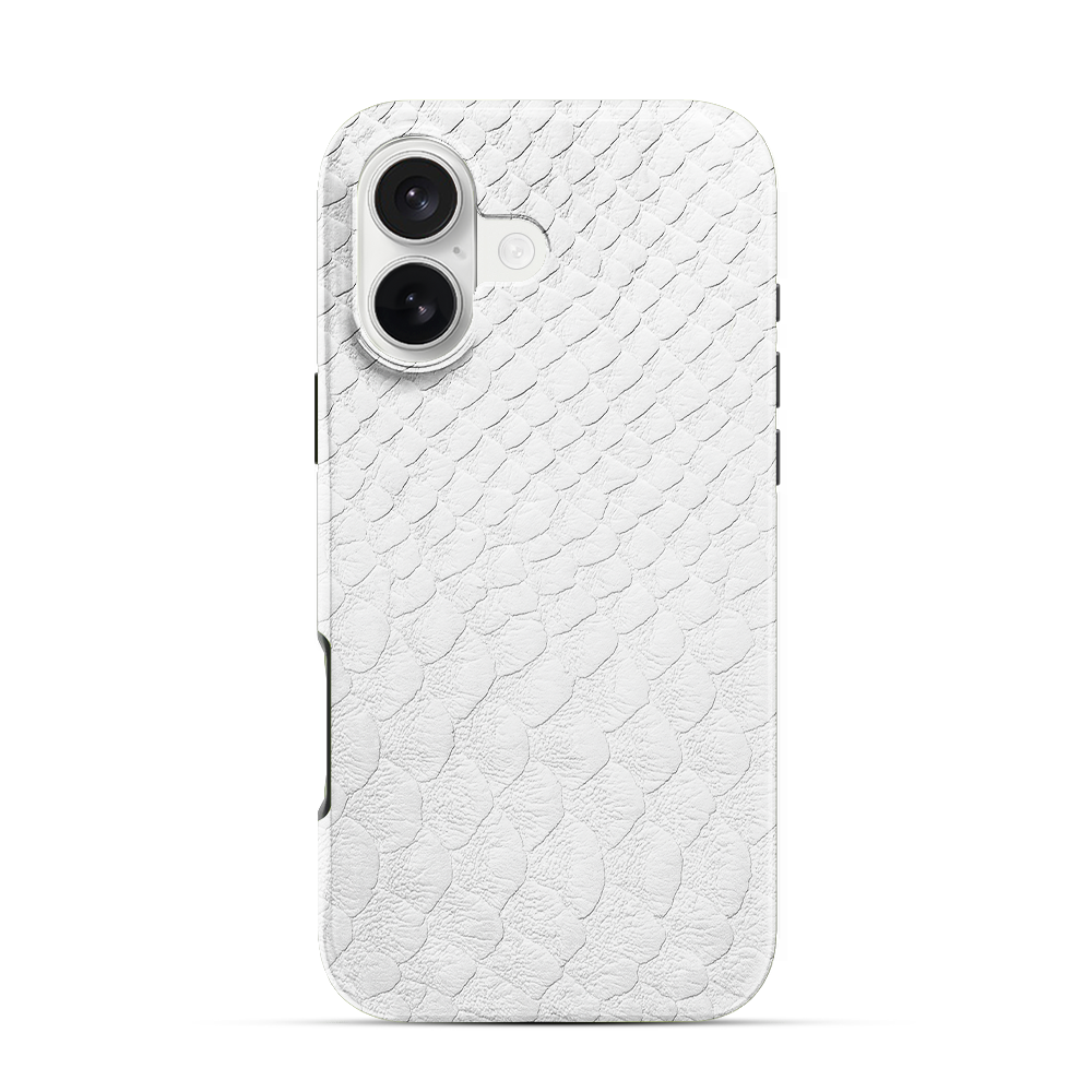 Glacial Desert iPhone 17 Case