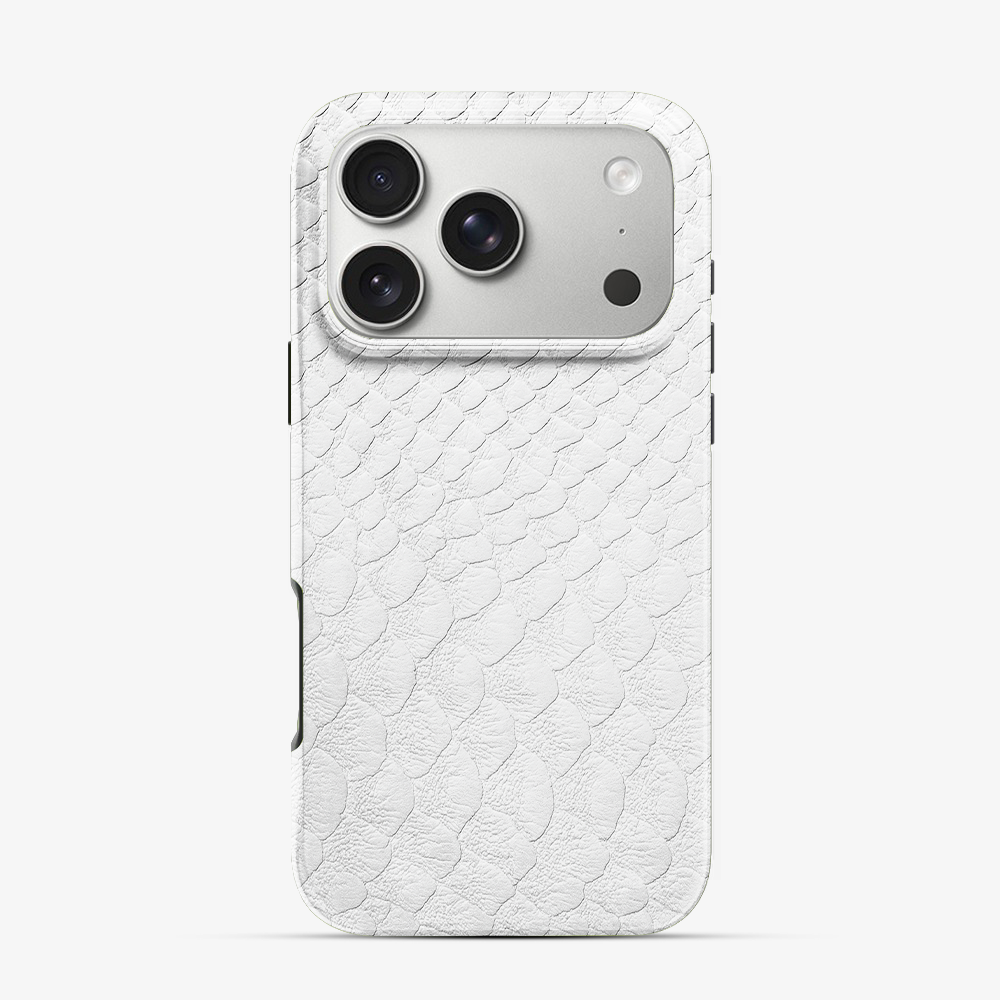 Glacial Desert iPhone 17 Pro Case