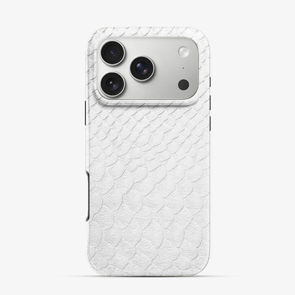 Glacial Desert iPhone 17 Pro Max Case